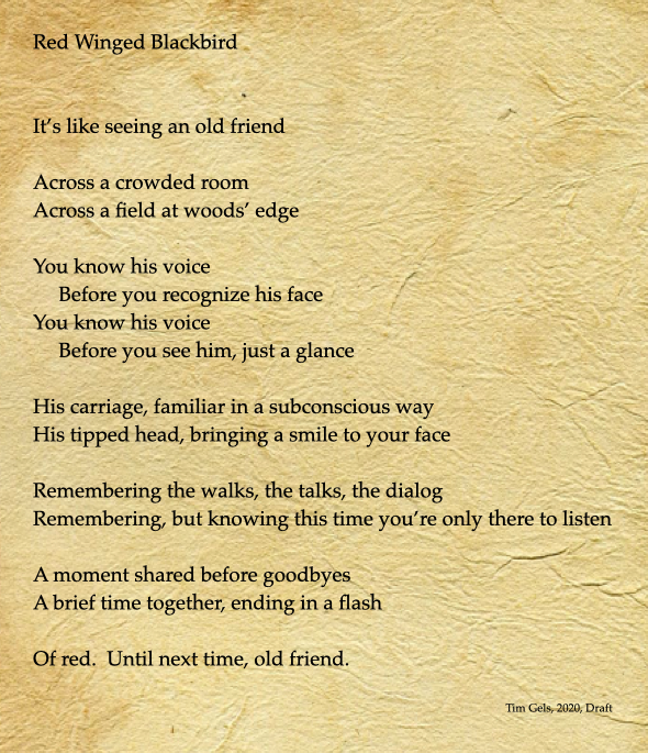 Screen Shot 2020-04-08 at 11.08.52 AM