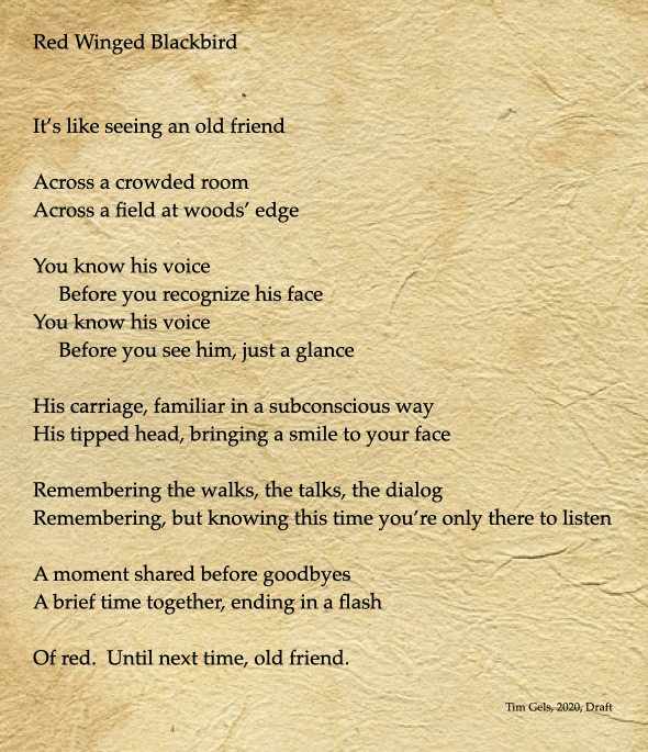 Screen Shot 2020-04-08 at 11.08.52 AM